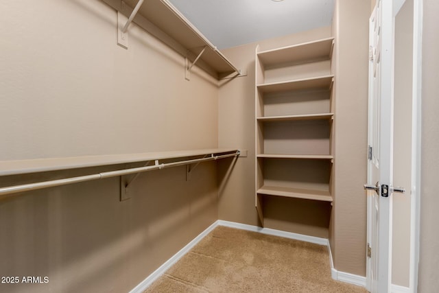 21136 N 36th Pl, Phoenix, AZ 85050 - walk in closet with carpet