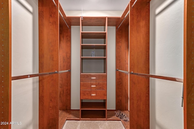 view of walk in closet