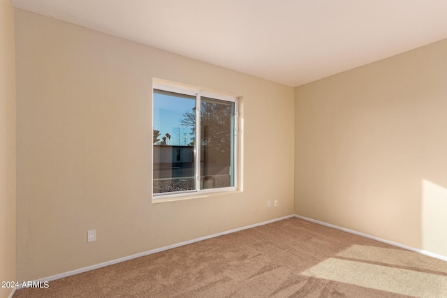 spare room featuring carpet floors