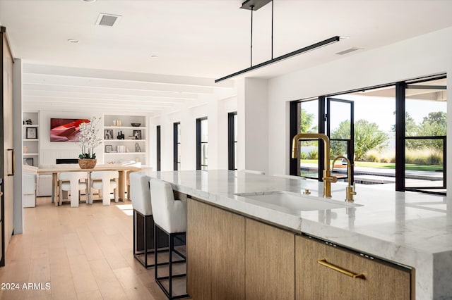 kitchen with light stone countertops, a kitchen island with sink, sink, decorative light fixtures, and light hardwood / wood-style floors