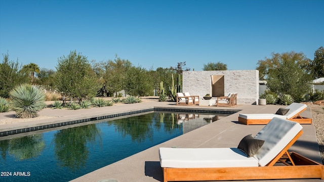 view of swimming pool with a patio area