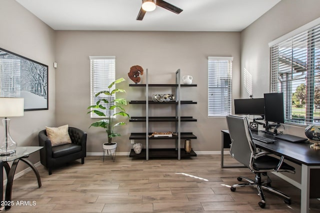 office area featuring ceiling fan and light wood-type flooring