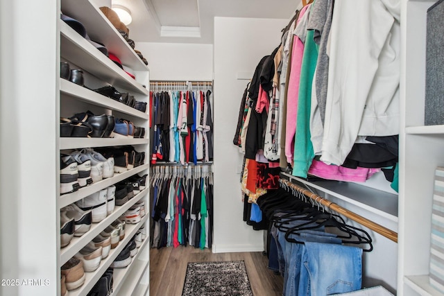 spacious closet featuring dark hardwood / wood-style flooring