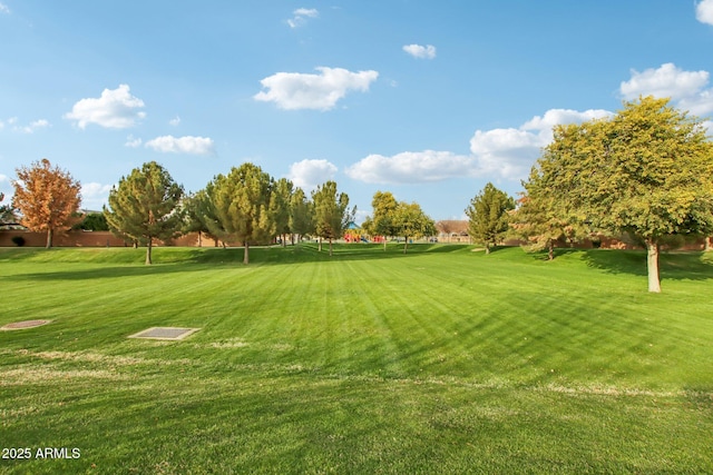 view of community featuring a lawn