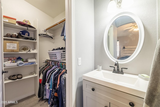 bathroom featuring vanity and hardwood / wood-style flooring