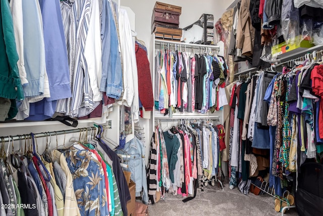 spacious closet featuring carpet flooring