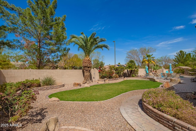 view of yard with a patio and a fenced backyard