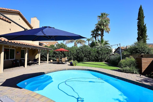 view of pool with a patio