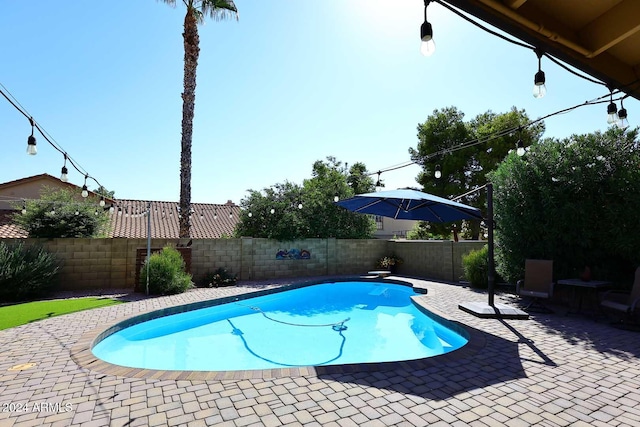 view of swimming pool with a patio area and a diving board