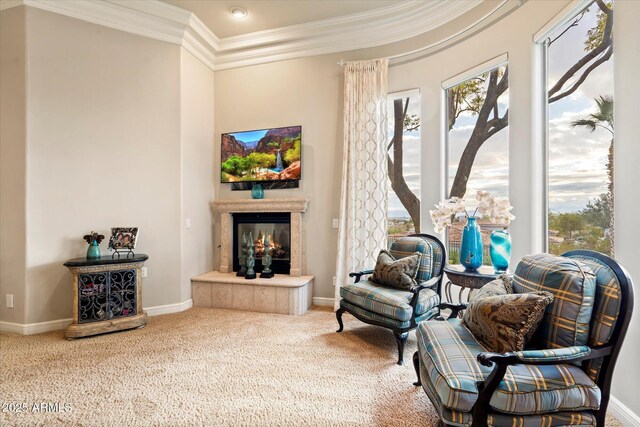 6621 N Arizona Biltmore Cir, Phoenix, AZ 85016 - sitting room with crown molding, a fireplace, carpet floors, and baseboards