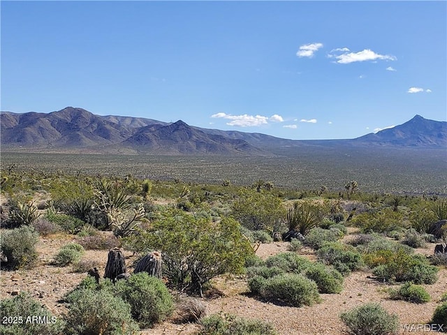 LOT3076 W Gold Basin Dr Unit 3076, Meadview, AZ 86444