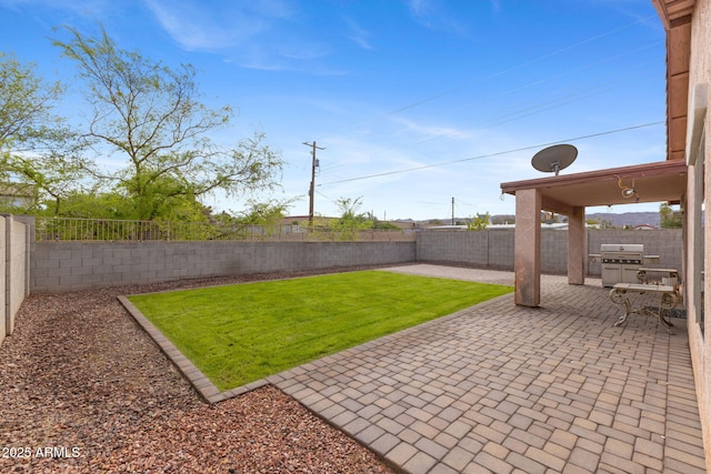 view of yard with a patio and a fenced backyard