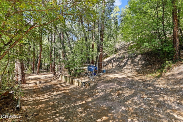 246 E Acorn Ln, Payson, AZ 85541 - view of yard