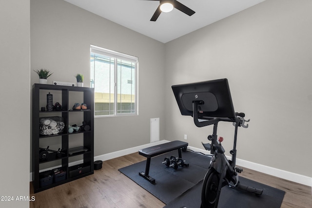 exercise room with ceiling fan and hardwood / wood-style floors