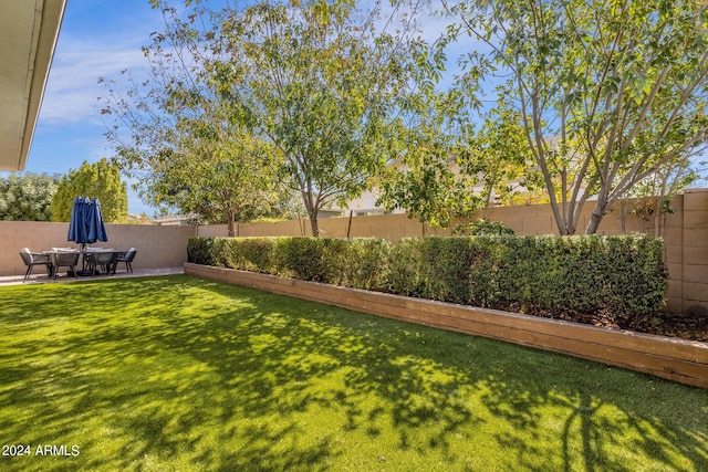 view of yard featuring a patio