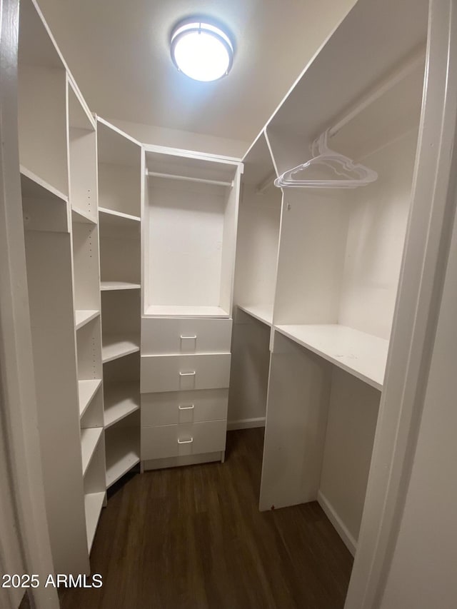 903 W Jacinto Cir, Mesa, AZ 85210 - walk in closet featuring dark wood-style flooring