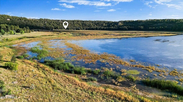 130 Lakeview Ct Unit 129, Flagstaff, AZ 86005