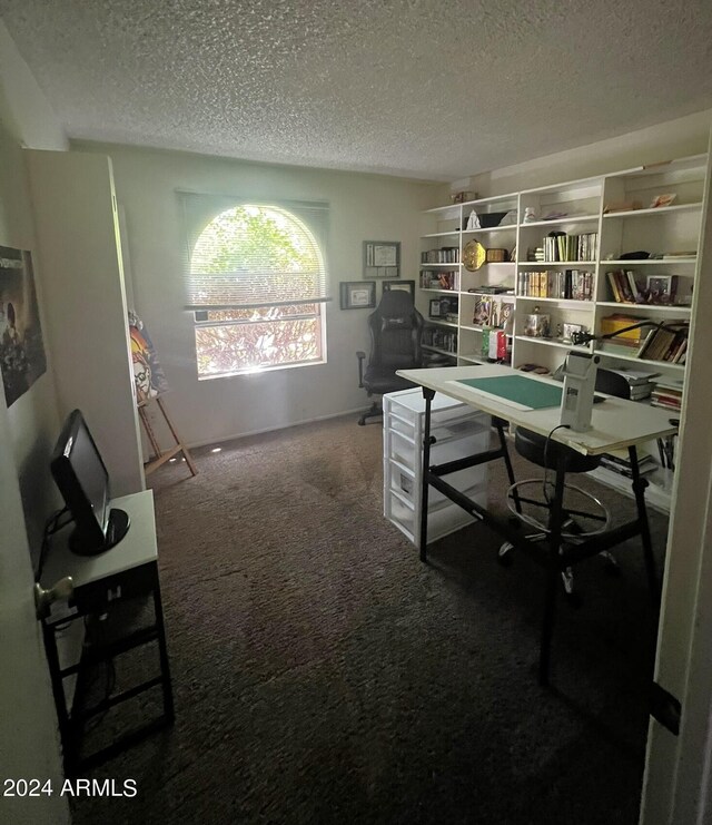 carpeted office space with a textured ceiling