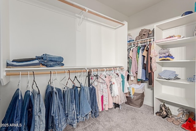 spacious closet featuring carpet flooring