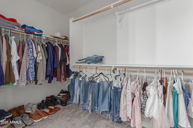 spacious closet featuring carpet flooring