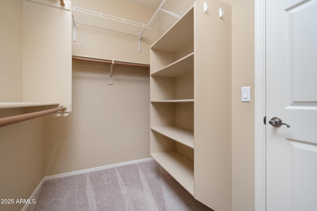 spacious closet with carpet flooring