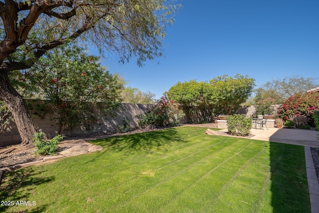 view of yard featuring a patio and a fenced backyard