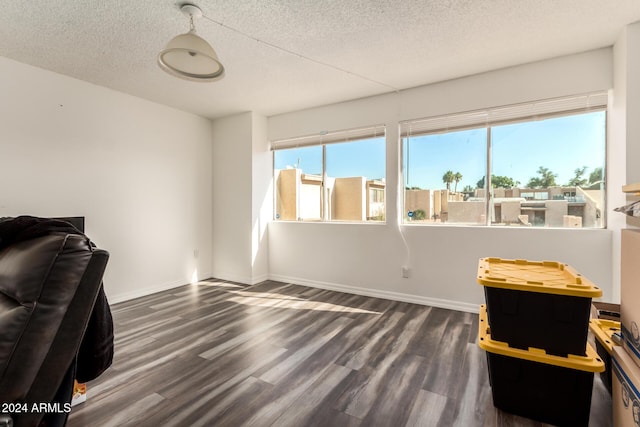 interior space with plenty of natural light, dark hardwood / wood-style flooring, and a textured ceiling