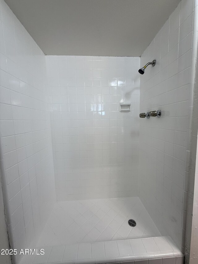 bathroom with a tile shower