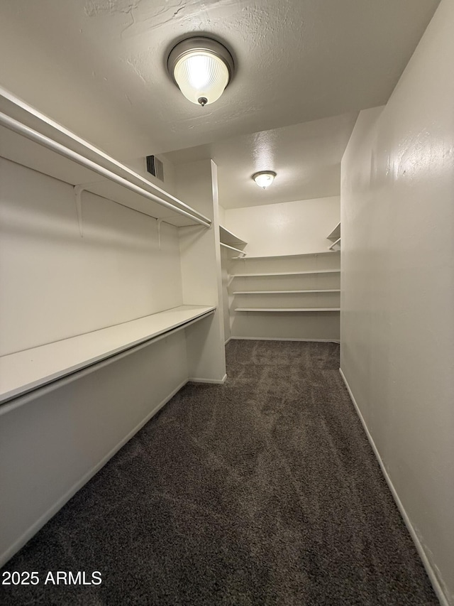 spacious closet with visible vents and carpet floors