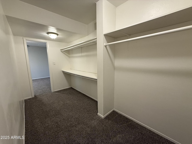 walk in closet with dark carpet