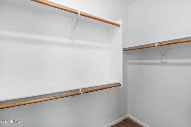 walk in closet with carpet floors