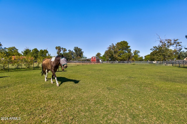 view of yard featuring a rural view