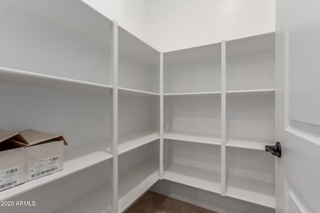 5678 N 205th Ln, Buckeye, AZ 85396 - view of pantry