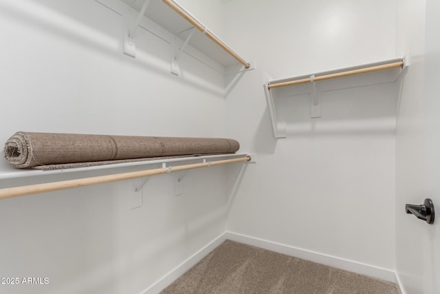5678 N 205th Ln, Buckeye, AZ 85396 - walk in closet featuring carpet