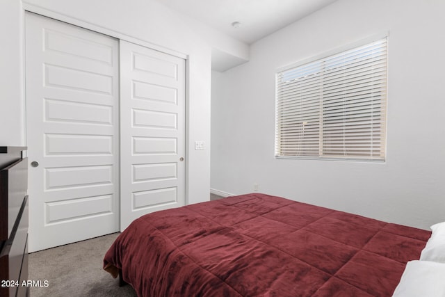 bedroom featuring carpet floors and a closet