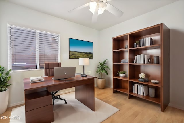 office featuring ceiling fan and light wood-type flooring