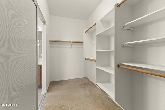 walk in closet with light carpet