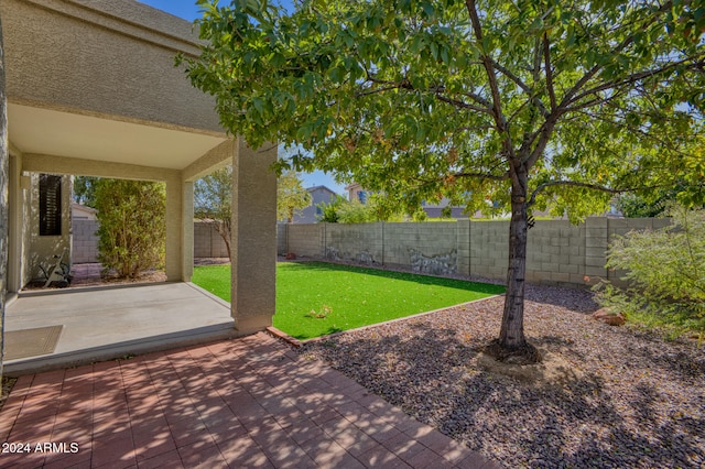 view of yard featuring a patio area