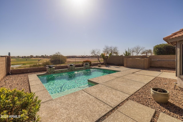 view of pool with a fenced in pool, a patio, and a fenced backyard