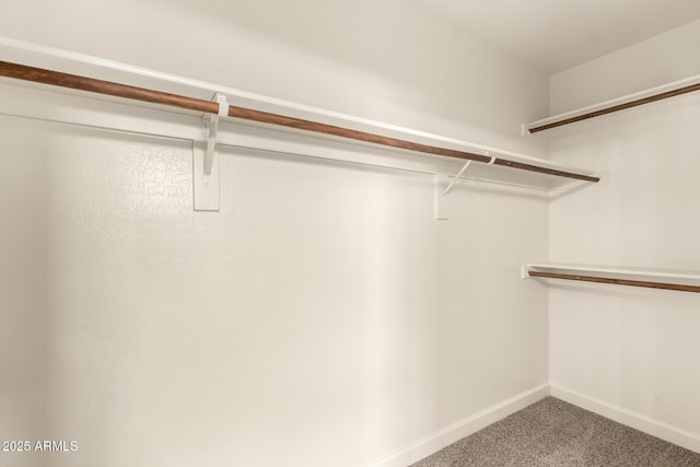 10317 E Kiva Cir, Mesa, AZ 85209 - walk in closet featuring carpet floors