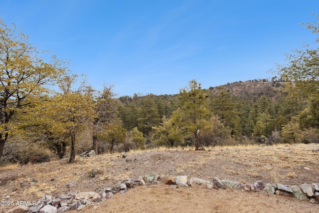 view of local wilderness