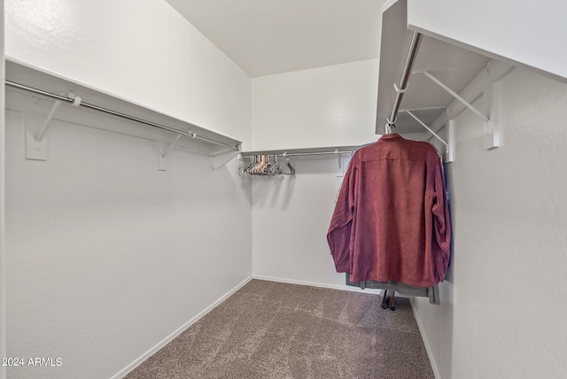 walk in closet with carpet flooring