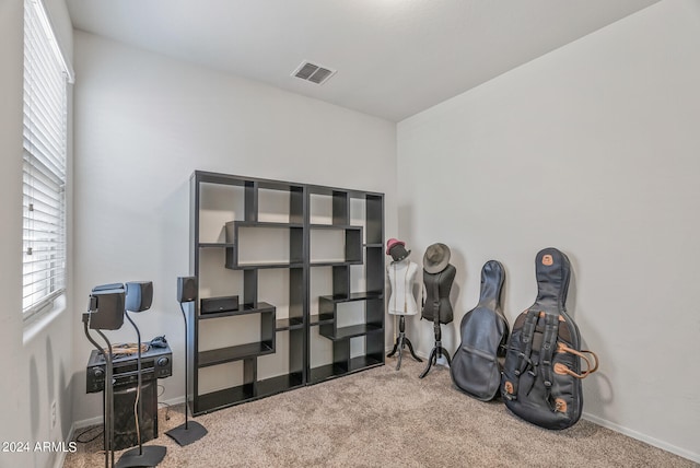 miscellaneous room featuring carpet floors