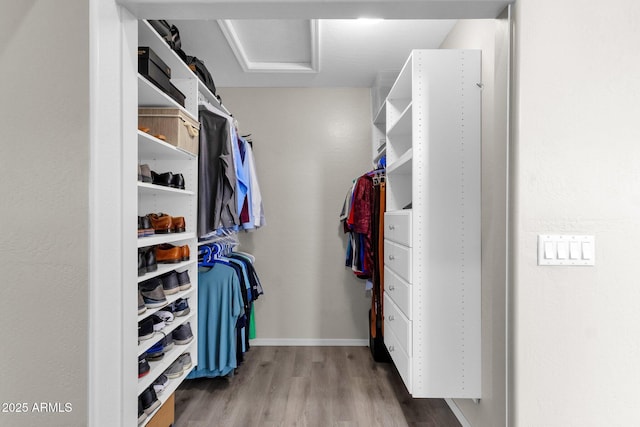 walk in closet featuring light hardwood / wood-style floors