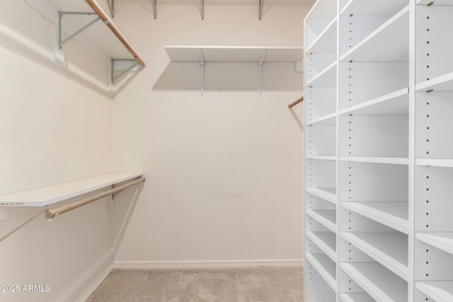 spacious closet with light carpet