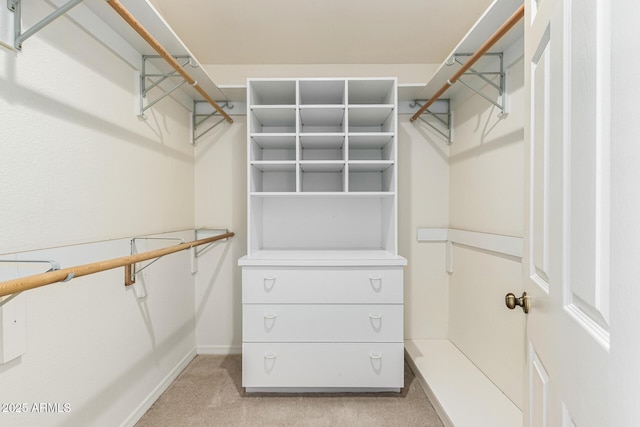 walk in closet featuring light colored carpet