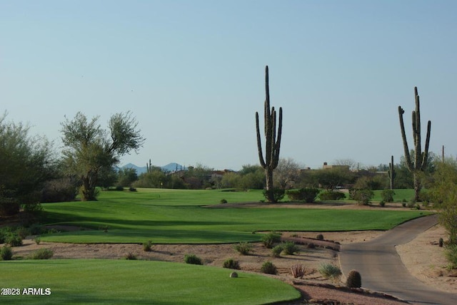 surrounding community featuring a yard