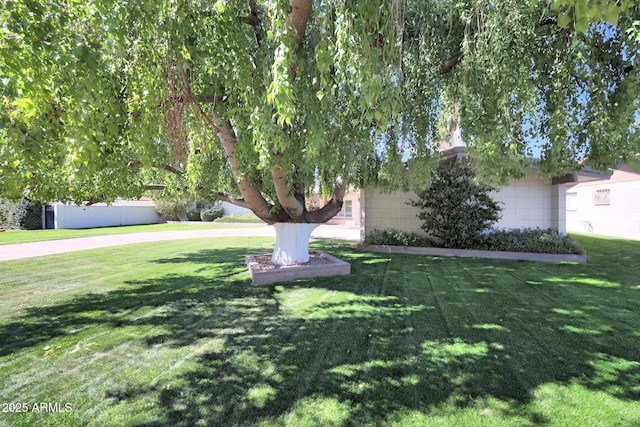 view of property hidden behind natural elements with a front lawn