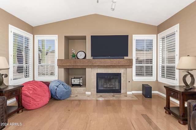 living room featuring a fireplace, hardwood / wood-style floors, and lofted ceiling