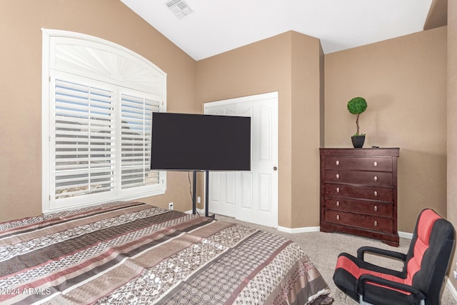 carpeted bedroom featuring lofted ceiling, multiple windows, and a closet